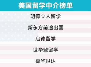 2019年自費出國留學(xué)中介服務(wù)市場調(diào)查報告